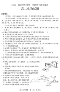 山东省济宁市兖州区2025-2026学年高二上学期期中生物试题(图片版,含答案)含答案解析