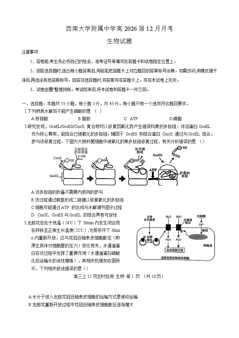 重庆市西南大学附属中学2026届高三上学期12月月考 生物试卷(含答案)第1页