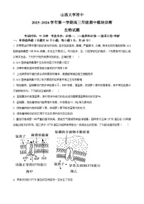 山西大学附属中学2025-2026学年高三上学期11月期中考试生物试题（Word版附解析）