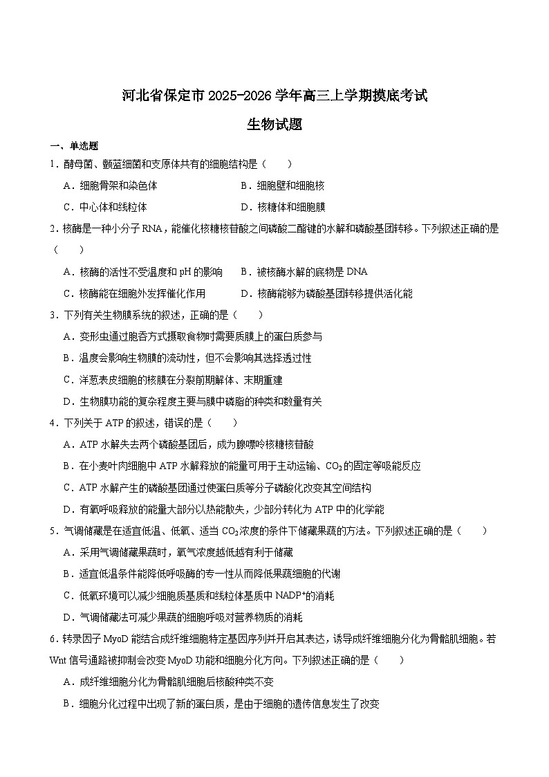 2026保定高三上学期摸底考试生物含答案第1页
