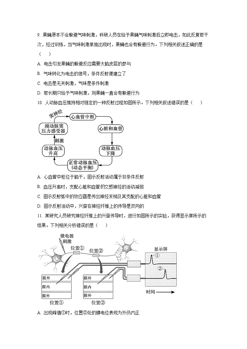 新疆维吾尔自治区多校2025—2026学年高二上学期期中考试生物试卷(学生版)第3页