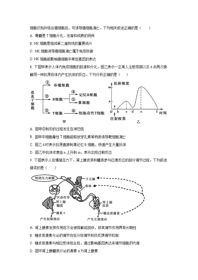 浙江省金兰教育合作组织2025-2026学年高二上学期11月期中生物试卷(学生版)第3页