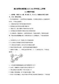湖北省鄂东南联盟2025-2026学年高二上学期11月期中考试生物试卷（学生版）