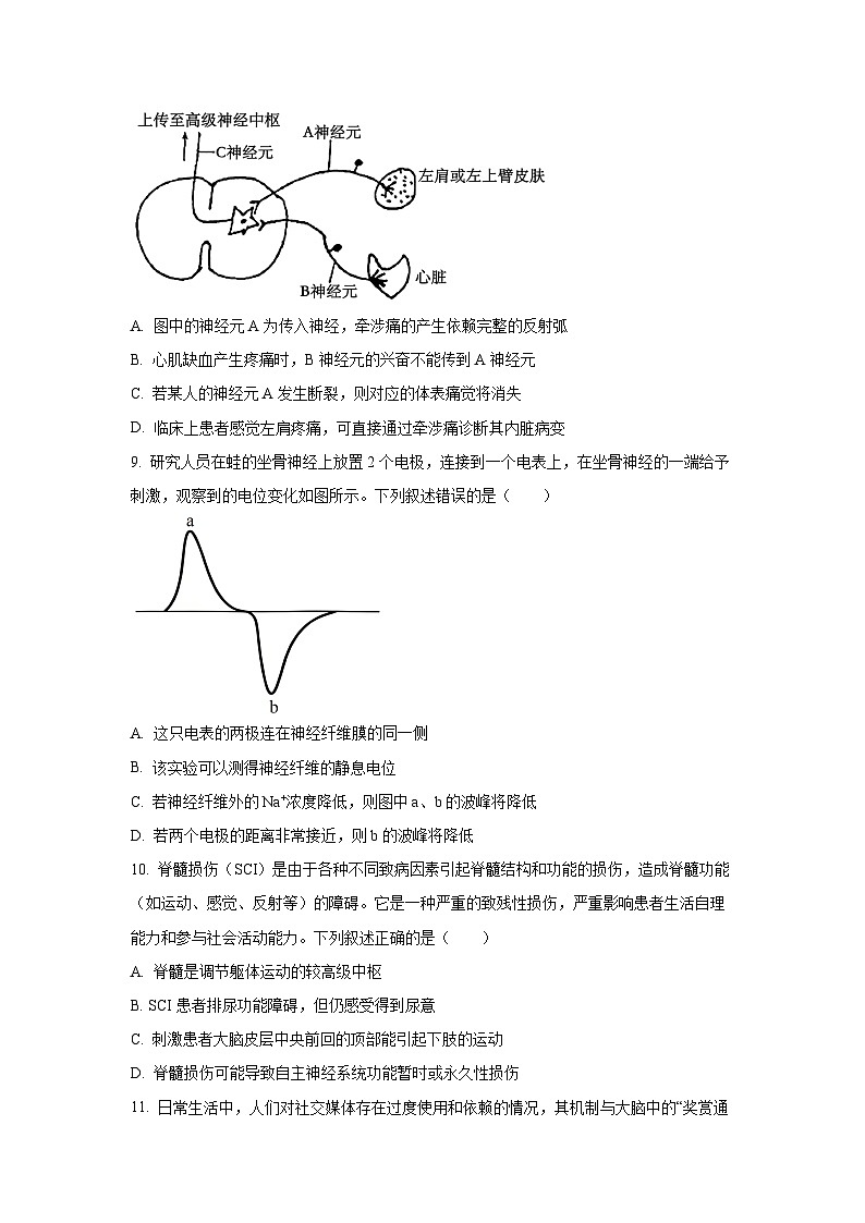 湖北省鄂东南联盟2025-2026学年高二上学期11月期中考试生物试卷(学生版)第3页