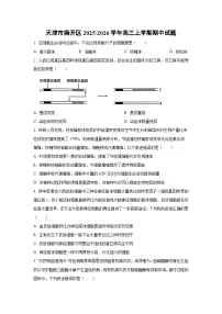 天津市南开区2025-2026学年高三上学期期中生物试卷(学生版)