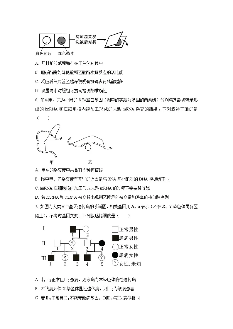 天津市南开区2025-2026学年高三上学期期中生物试卷(学生版)第2页