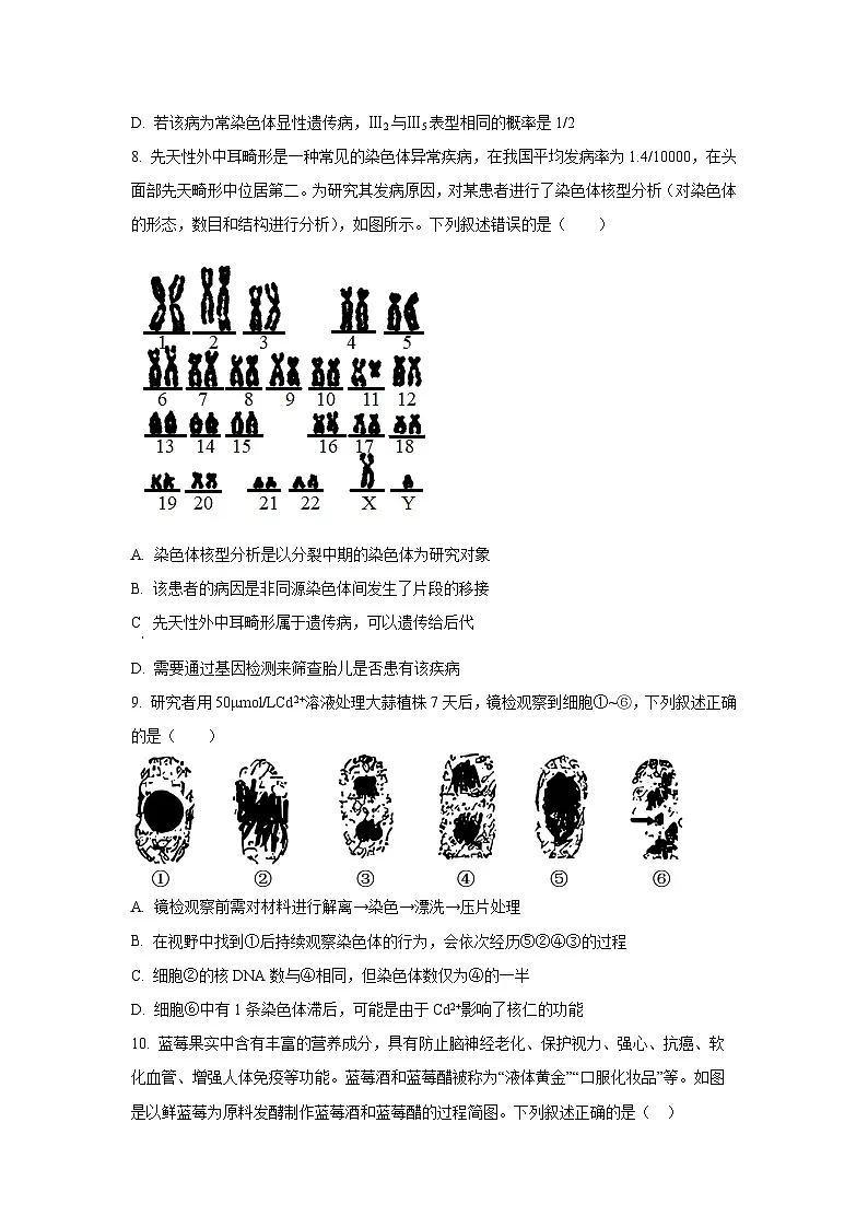 天津市南开区2025-2026学年高三上学期期中生物试卷(学生版)第3页