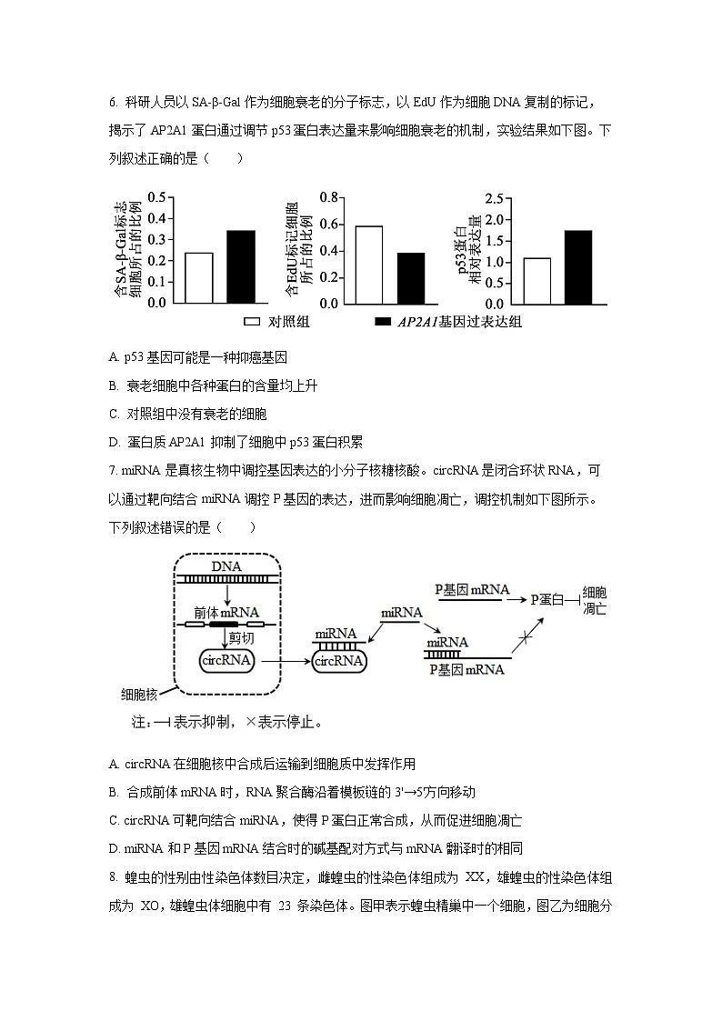 天津市河西区2025-2026学年高三上学期期中生物试卷(学生版)第3页