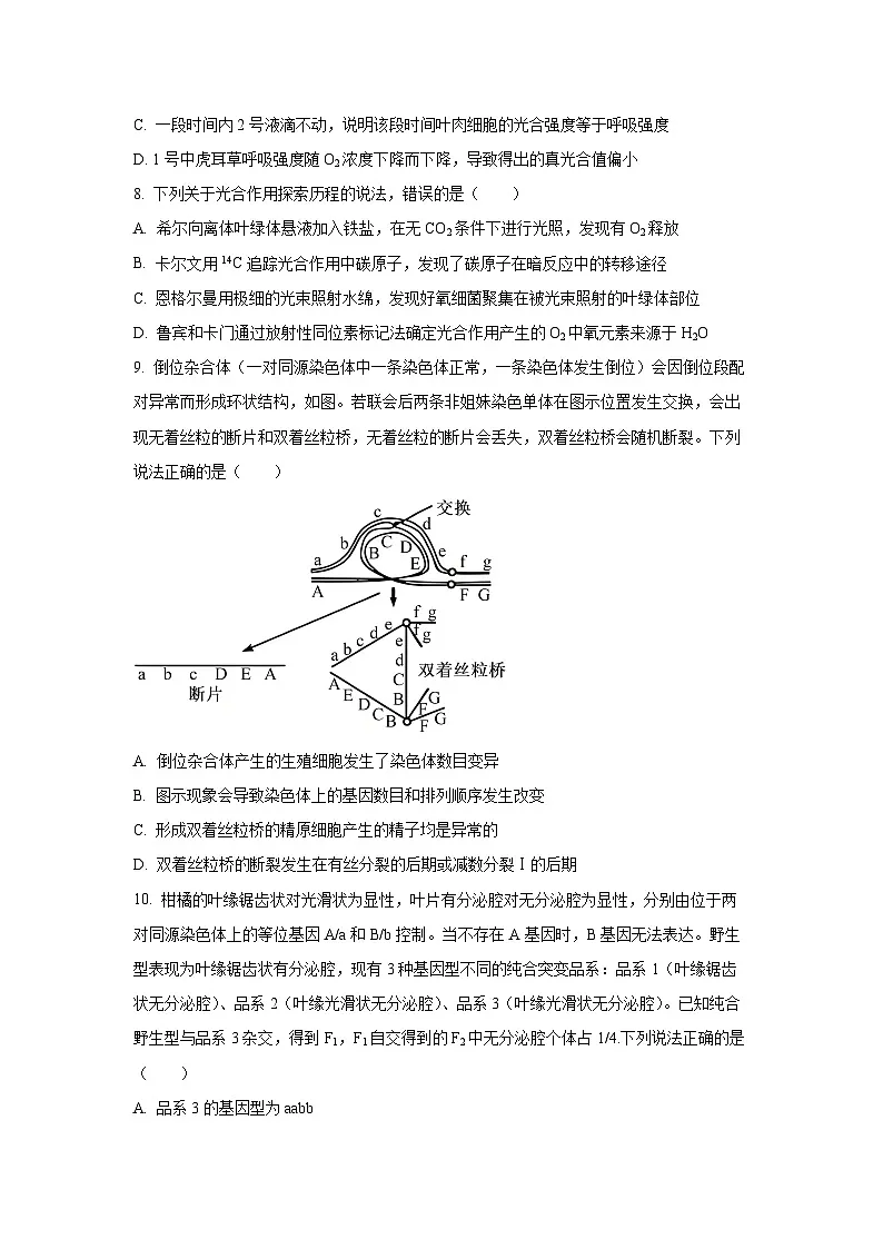 山东省潍坊市2025-2026学年高三上学期期中生物试卷(学生版)第3页