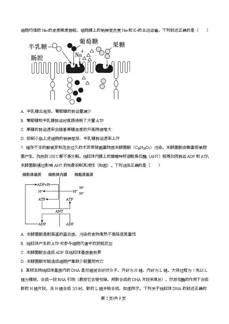 四川省绵阳市三台中学2026届高三上学期12月月考生物试题(原卷版)第2页