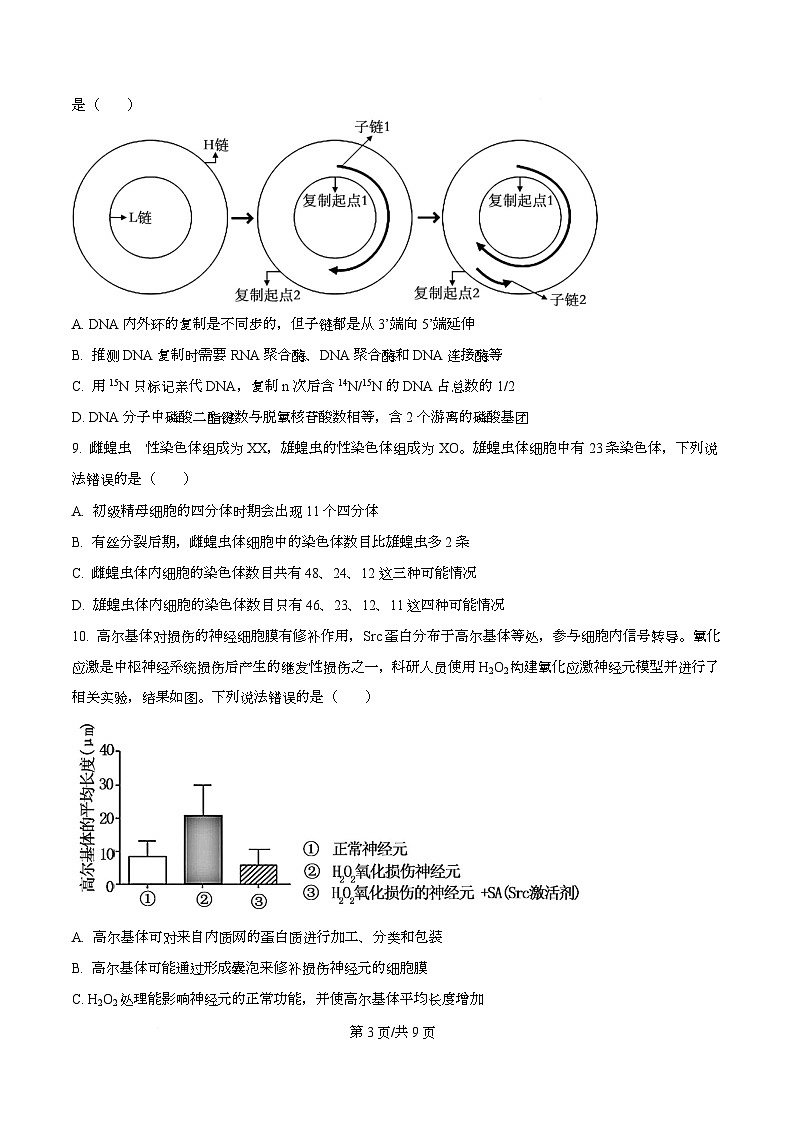 四川省绵阳市三台中学2026届高三上学期12月月考生物试题(原卷版)第3页