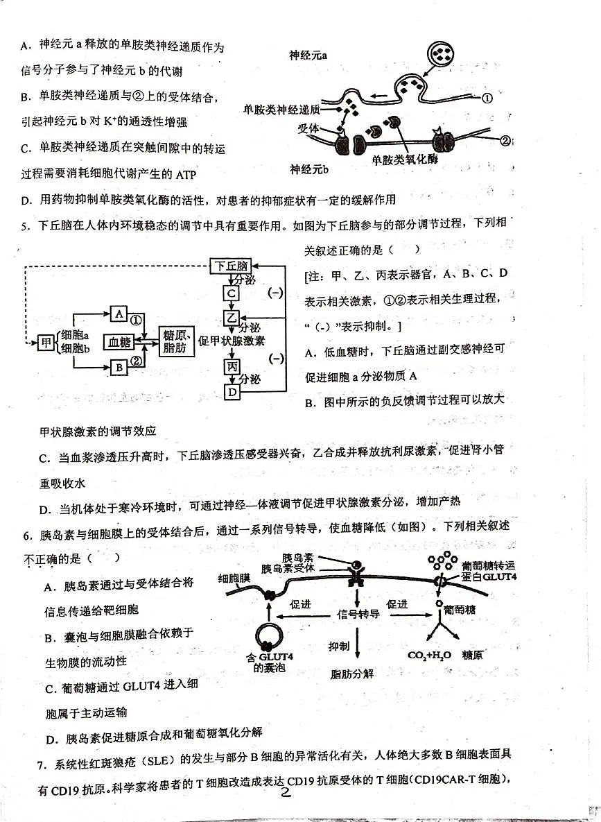 广东省普宁市华侨中学2025-2026学年高二上学期第三次月考生物试题第2页