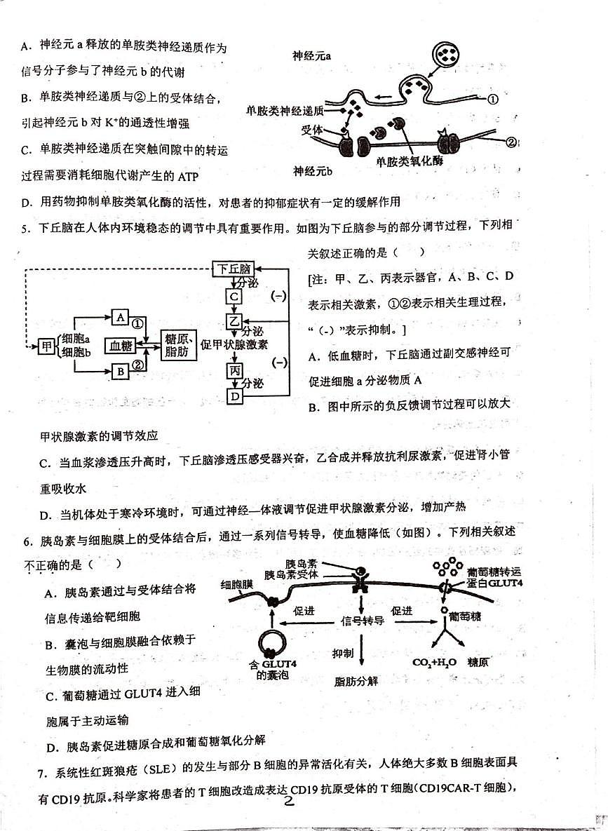 广东省普宁市华侨中学2025-2026学年高二上学期第三次月考生物试题第2页