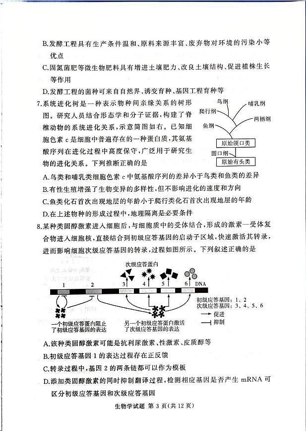 河南省湘豫名校联考2025-2026学年高三上学期12月月考生物试题第3页