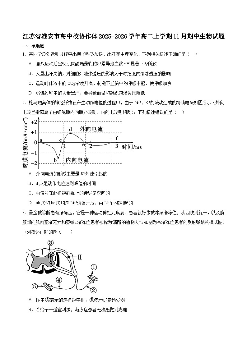 江苏省淮安市高中校协作体2025-2026学年高二上学期期中联考生物试题(Word版附答案)第1页
