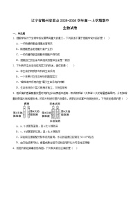 辽宁省锦州市省重点高中2025-2026学年高一上学期期中考试生物试题（Word版附答案）