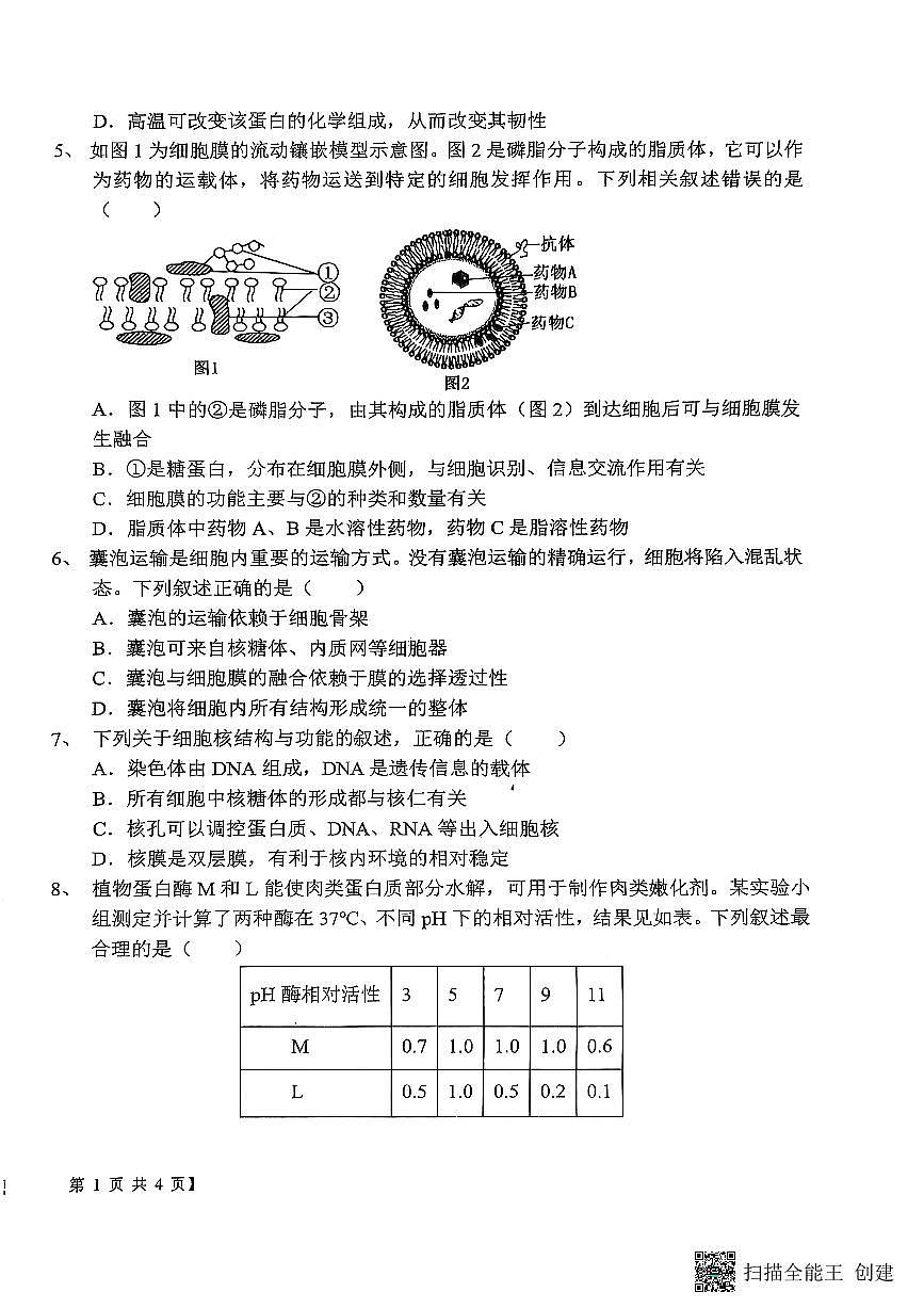 2025-2026年度陕西省韩城市象山中学高一生物第三次月考试卷(无答案)第2页