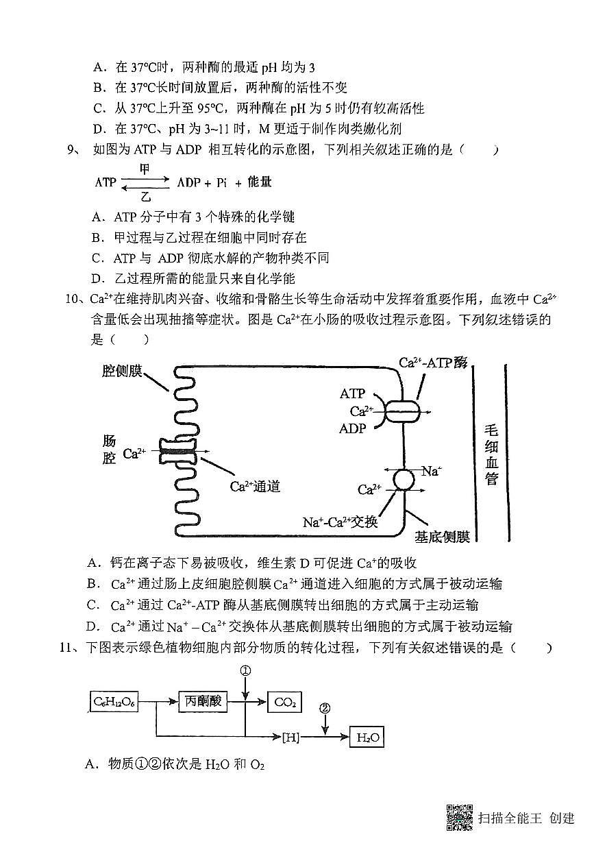 2025-2026年度陕西省韩城市象山中学高一生物第三次月考试卷(无答案)第3页