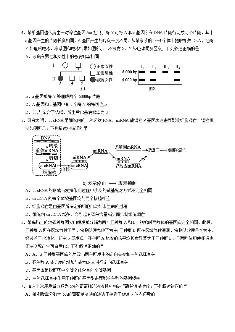 河北省部分重点中学2026届高三上学期12月联合测评(T8联考)生物试卷(含答案)第2页