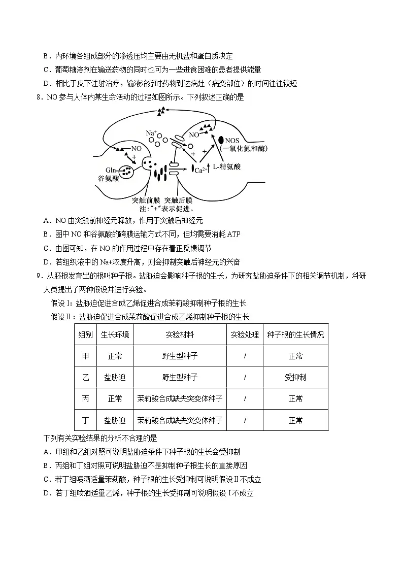河北省部分重点中学2026届高三上学期12月联合测评(T8联考)生物试卷(含答案)第3页