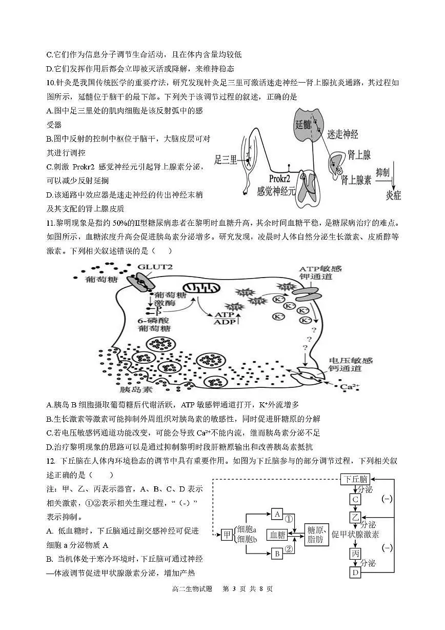 河南省信阳市光山县第二高级中学2025-2026学年高二上学期12月月考生物试题第3页