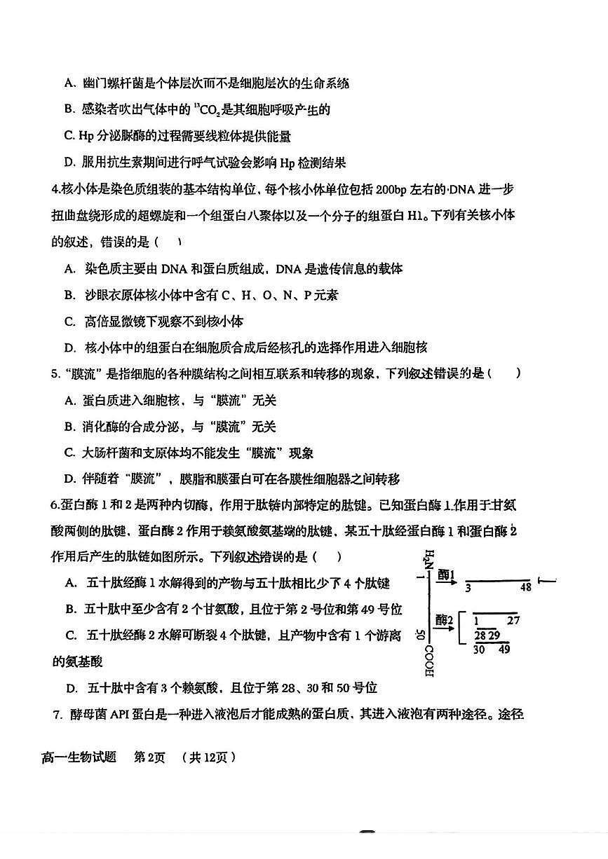 山东省青岛市58中2025-2026学年高一上学期12月月考生物试题第2页