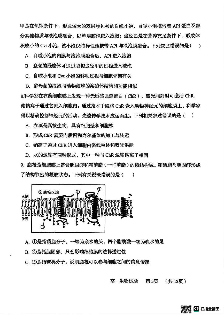 山东省青岛市58中2025-2026学年高一上学期12月月考生物试题第3页