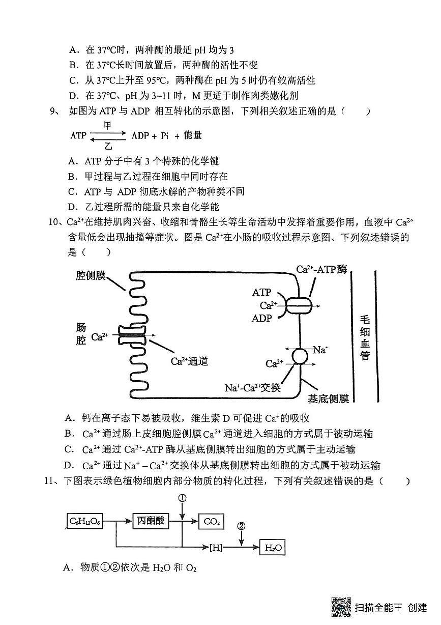 陕西省渭南市韩城市象山中学2025-2026学年高一上学期12月月考生物试题第3页