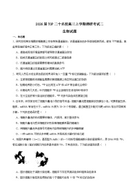 河南省TOP二十名校2026届高三上学期12月调研考试二生物试卷（Word版附答案）