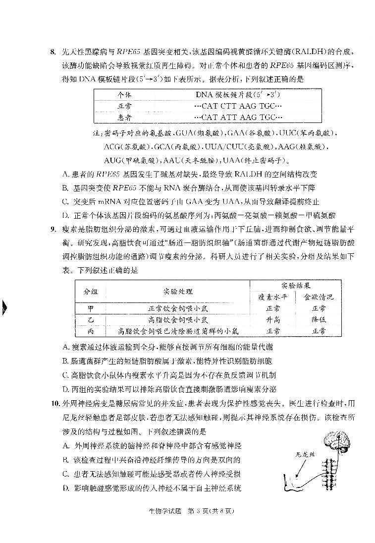 四川省成都市2026届高三上学期第一次诊断性检测(一诊)生物试题+答案第3页