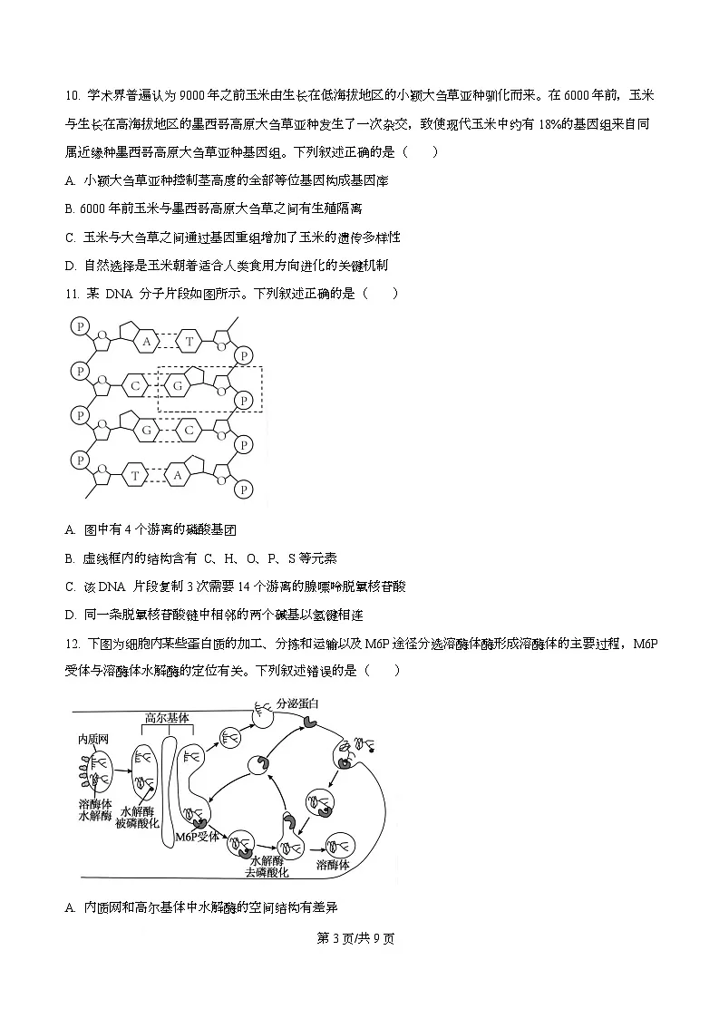 浙江省北斗星联盟2025-2026学年高二上学期12月月考生物试题(原卷版)第3页