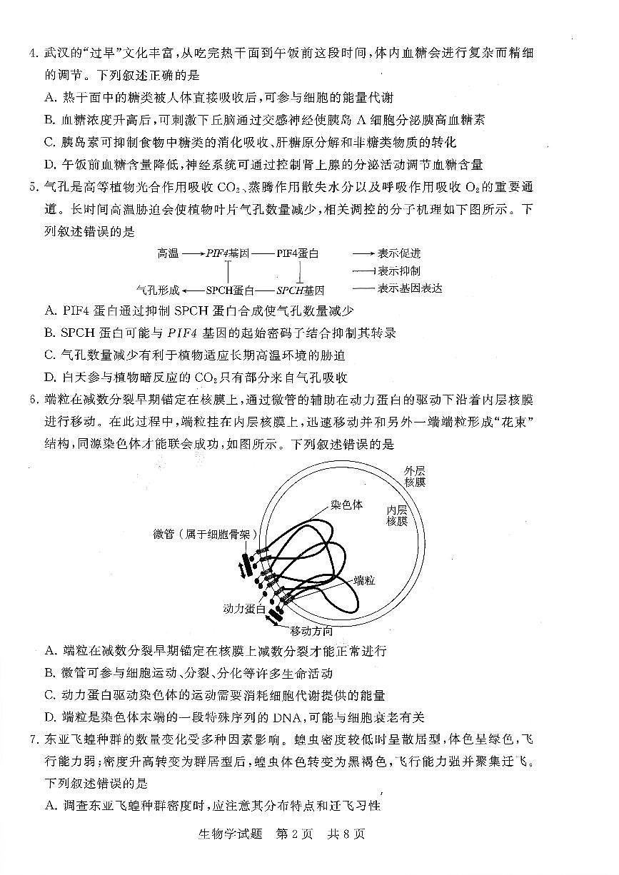 扫描件_湖北生物高三年级12月检测训练第2页