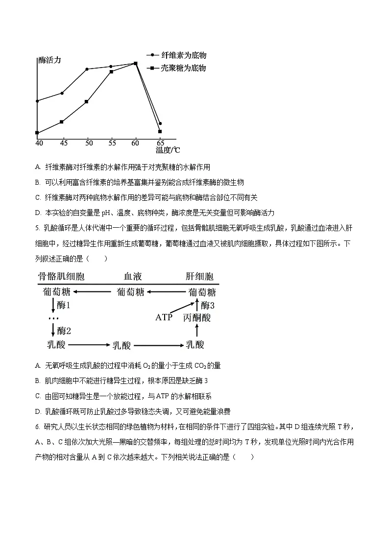 安徽省皖江名校联盟2026届高三上学期12月质量检测 生物试卷(含答案)第3页