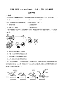 山西省大同市2026届高三上学期第二次学情调研 生物试卷(含答案）