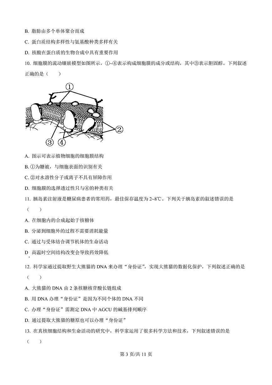 辽宁省大连市2024-2025学年第一学期高一生物学期末试卷(含答案及解析)第3页