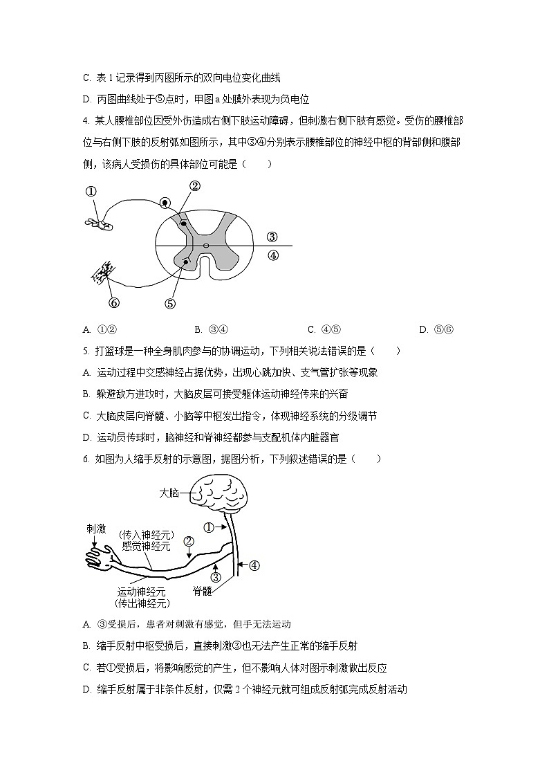 吉林省四平市第一高级中学等四校联考2025-2026学年高二上学期期中考试生物试卷(学生版)第2页
