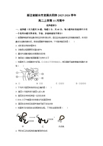浙江省丽水市发展共同体2025-2026学年高二上学期11月期中生物试卷（学生版）