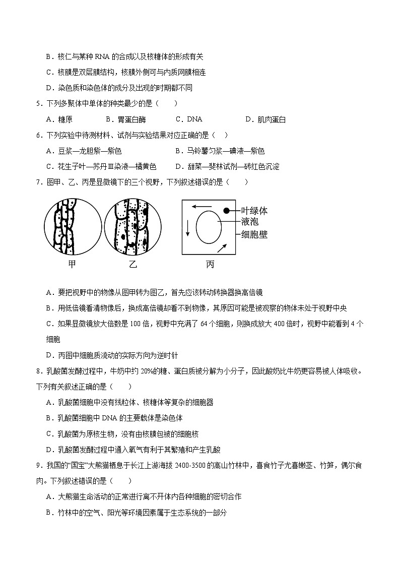 山西省阳泉市第一中学校2025-2026学年高一上学期11月期中考试 生物 Word版含答案第2页