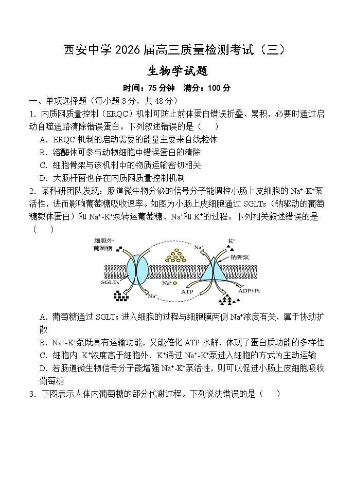 陕西省西安中学2025-2026学年高三上学期质量检测生物试卷(三)第1页