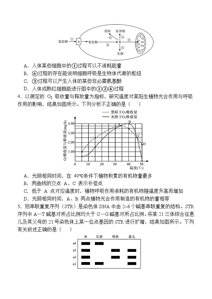 陕西省西安中学2025-2026学年高三上学期质量检测生物试卷(三)第2页
