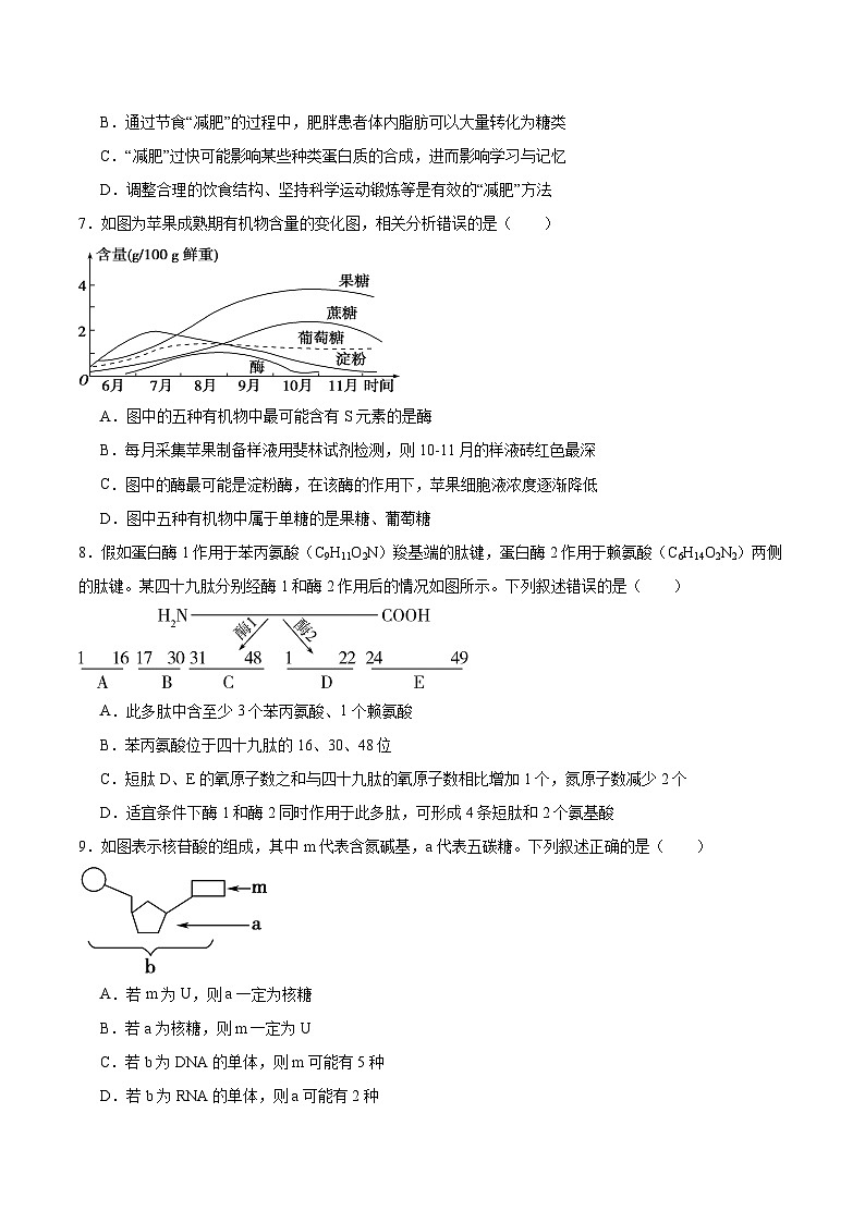吉林省顶级名校2025-2026学年高一上学期12月月考试题 生物(含答案)第2页