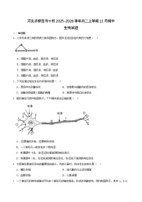 河北省保定市十校2025-2026学年高二上学期期中考试 生物试卷