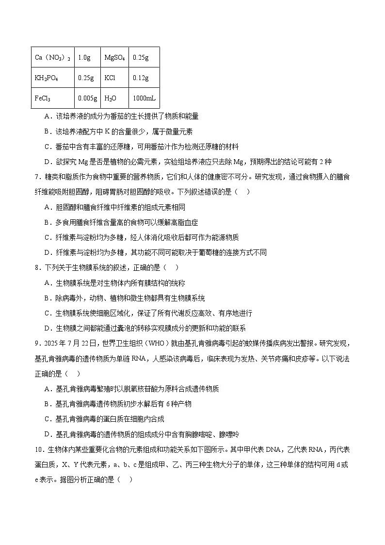 福建省宁德市五校联盟2025-2026学年高一上学期12月期中质量监测试题 生物(含答案)第2页
