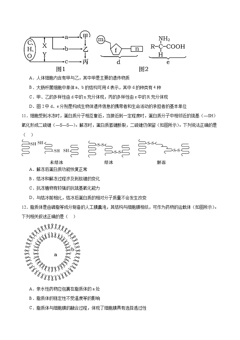 福建省宁德市五校联盟2025-2026学年高一上学期12月期中质量监测试题 生物(含答案)第3页