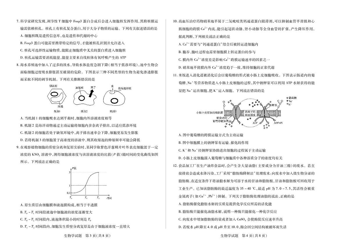 生物-安徽省(合肥六中)特色高中教研联谊会联考2025-2026学年高一上学期12月月考试题及答案第2页