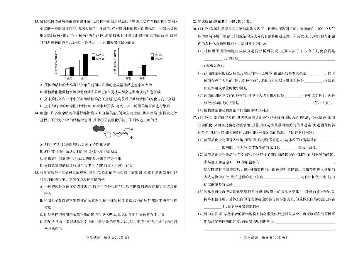 生物-安徽省(合肥六中)特色高中教研联谊会联考2025-2026学年高一上学期12月月考试题及答案第3页
