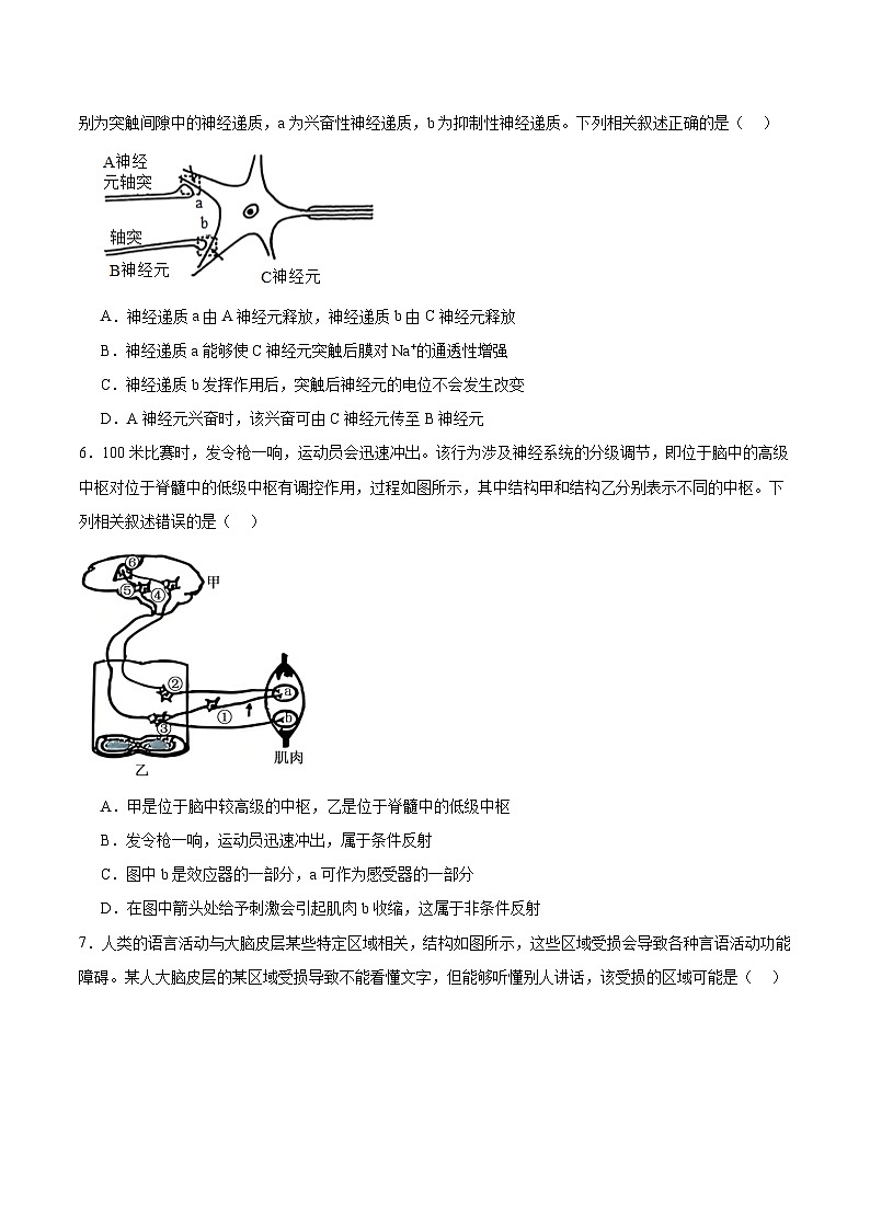 河北省保定市十校2025-2026学年高二上学期期中考试 生物 Word版含答案第2页