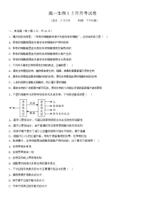 湖北省黄冈市黄梅县育才高级中学2025-2026学年高一上学期12月月考生物试题（含答案）含答案解析
