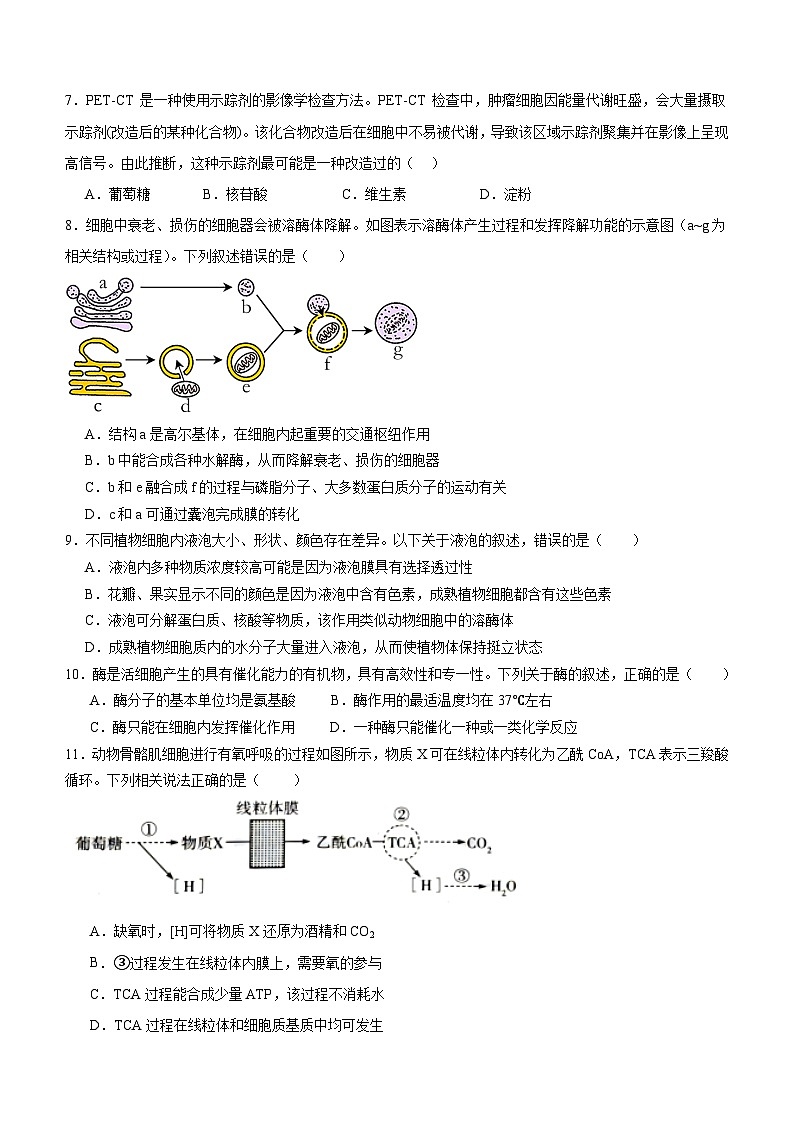 泸县五中高2025级2025年秋期第三学月考试生物试题第2页