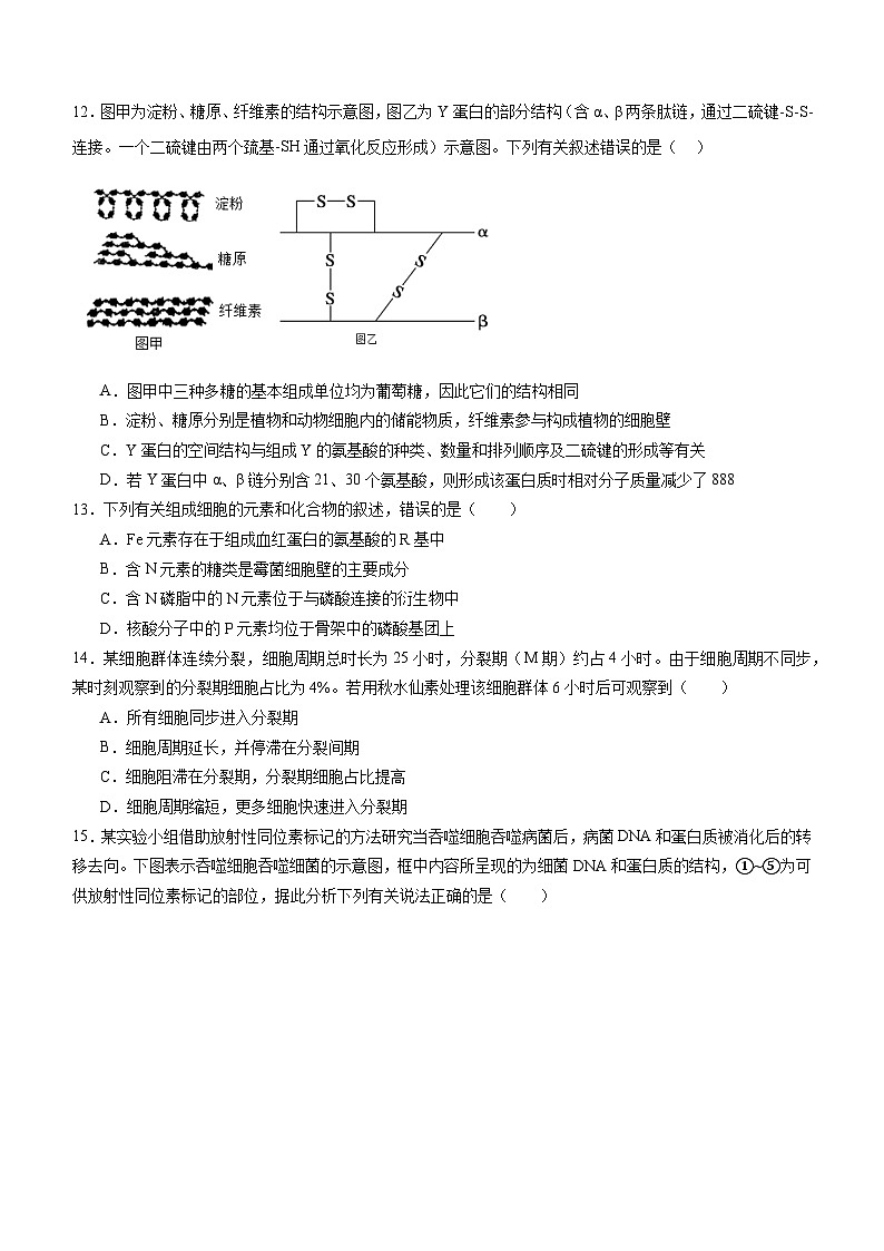 泸县五中高2025级2025年秋期第三学月考试生物试题第3页